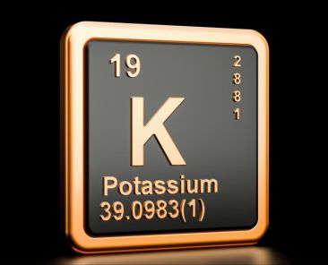 xr:d:DAF3w_nLVG4:3,j:7602489327710164619,t:23122303